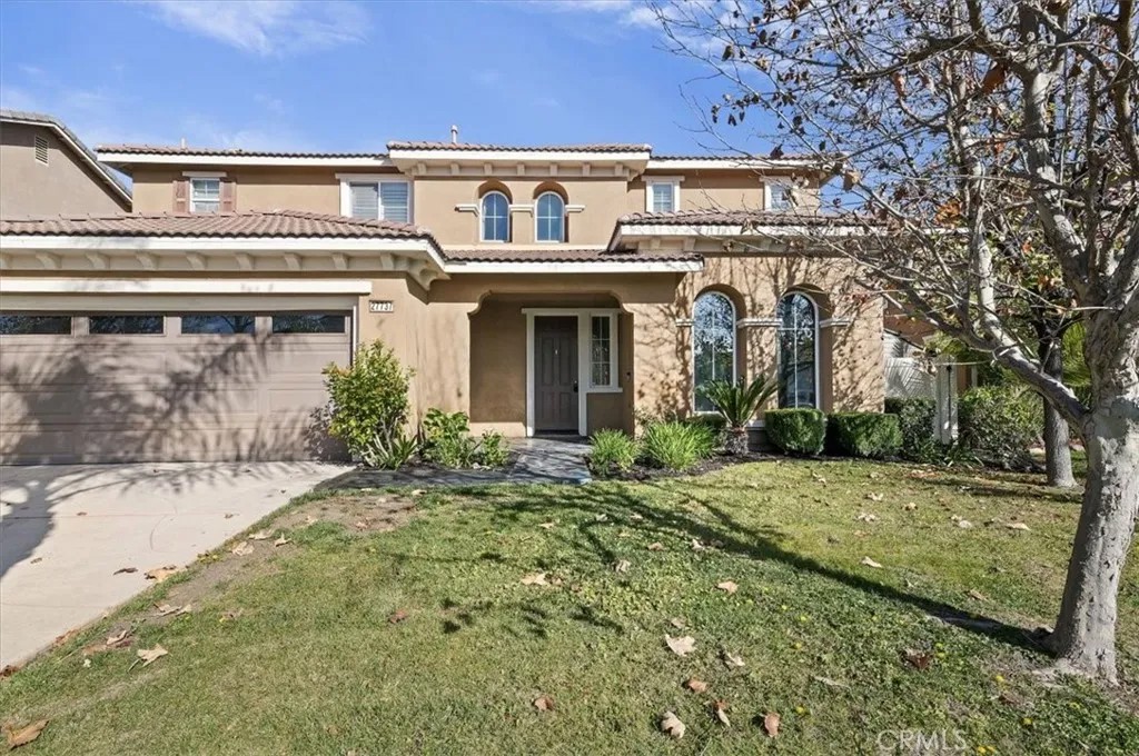 27737 Hackberry