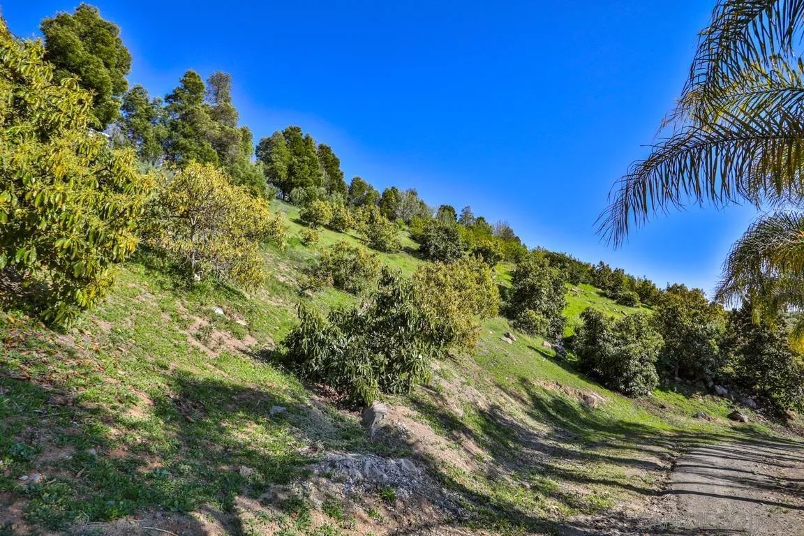 44945 Palladian Ct 15