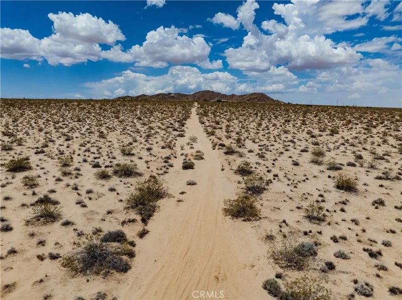 63840 Desert Lily