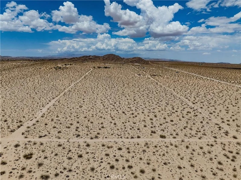 63840 Desert Lily