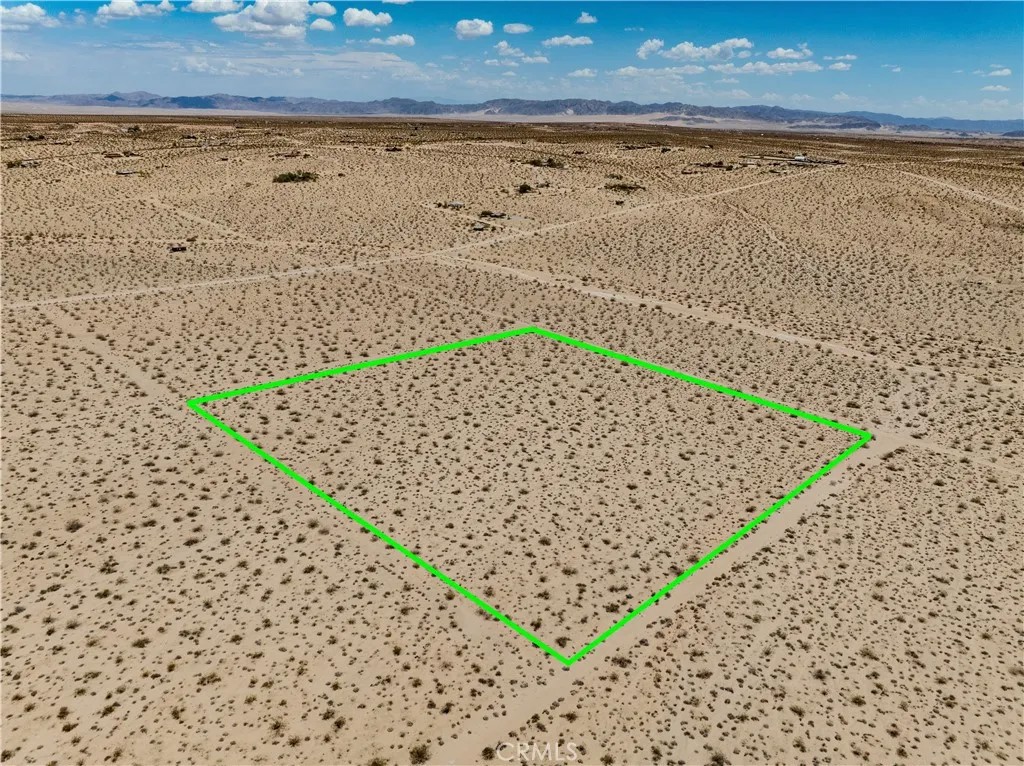 63840 Desert Lily
