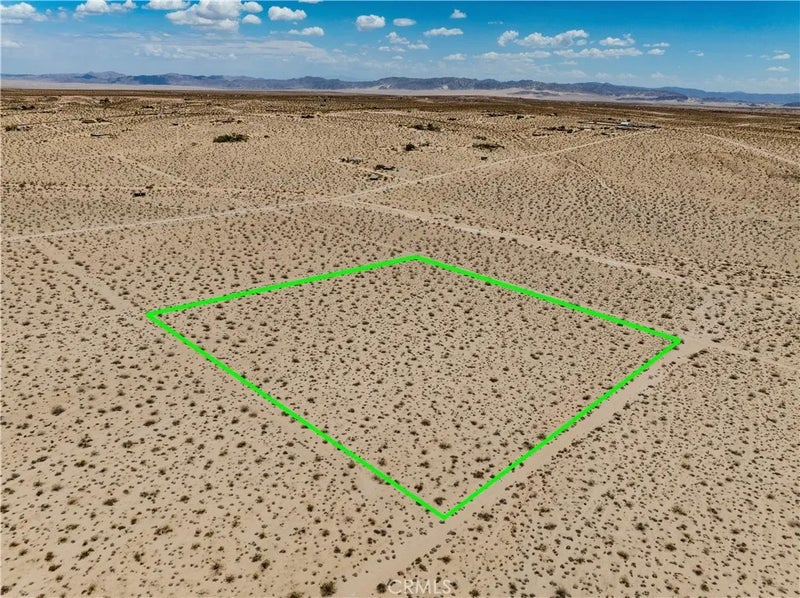 63840 Desert Lily