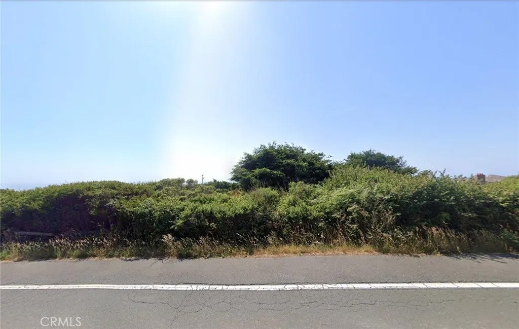 Photo of 15200 S Highway 1, Manchester, CA 95459 (MLS # AR26159179)