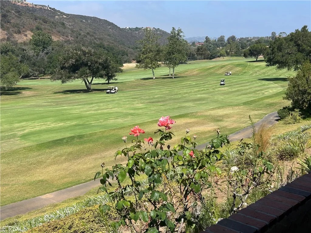 29092 Laurel Valley Drive