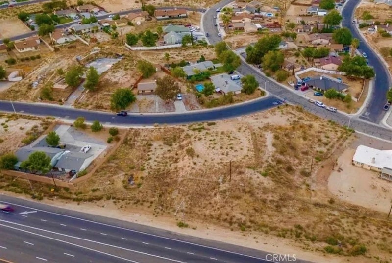 16299 Pepper tree