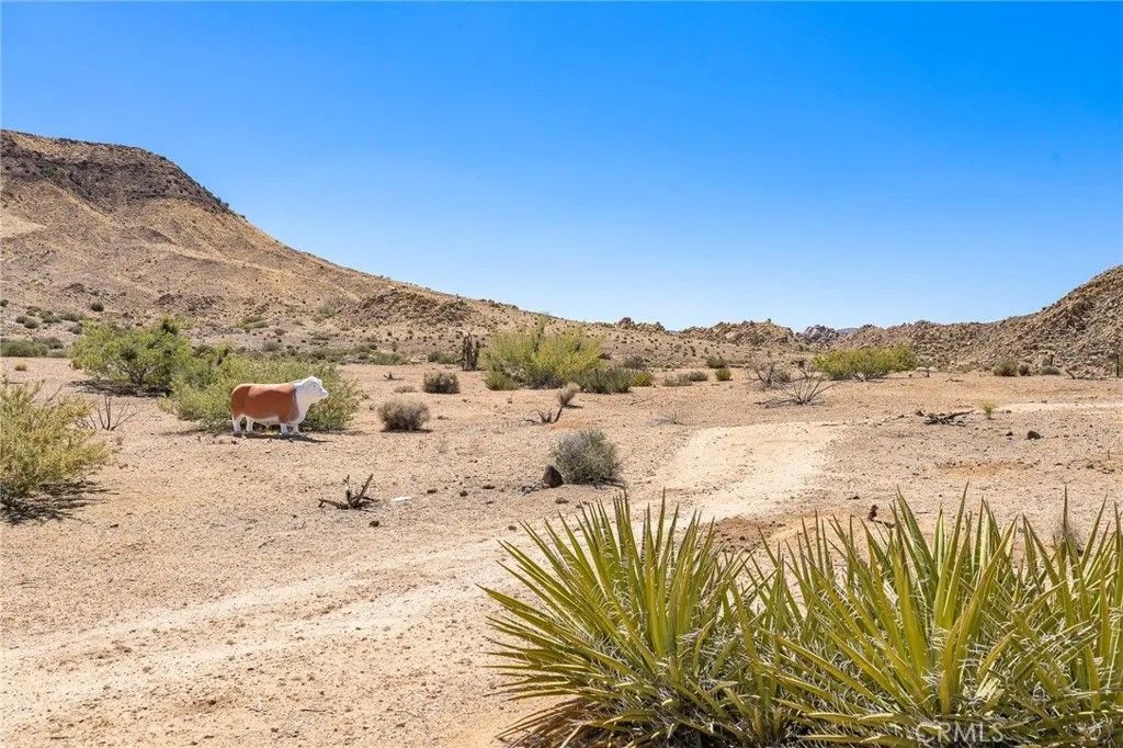 Photo of 1111 Saratoga, Pioneertown, CA 92268 (MLS # JT26045820)