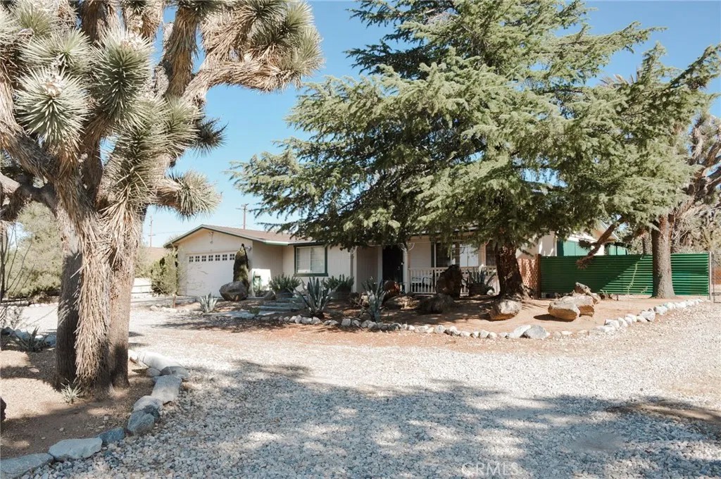 56843 Carlyle