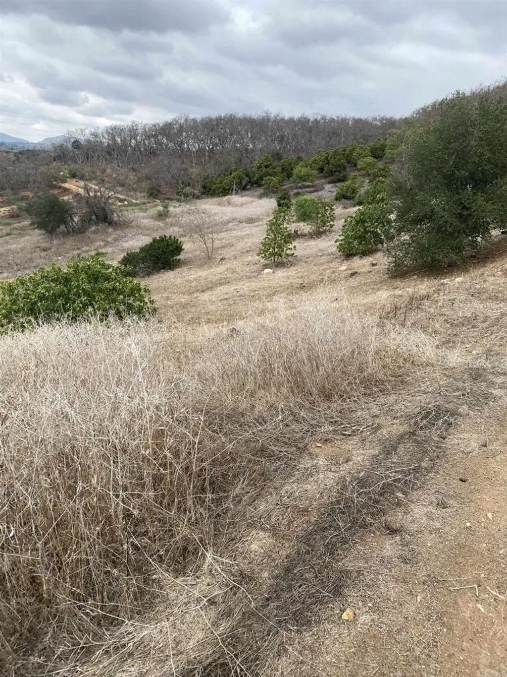 Photo of 30183 Ridge Creek, Valley Center, CA 92082 (MLS # NDP2508679)