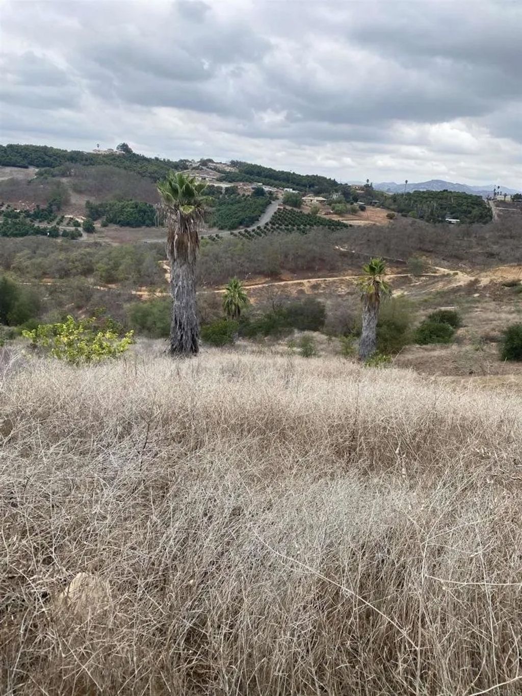 Photo of 30183 Ridge Creek, Valley Center, CA 92082 (MLS # NDP2508679)