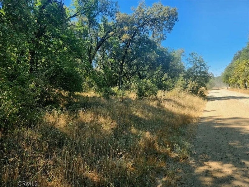 48 Rices Texas Hill