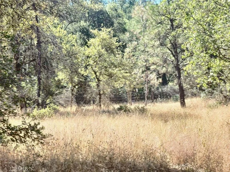 48 Rices Texas Hill