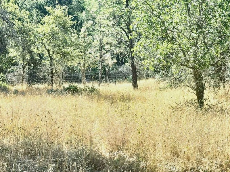 48 Rices Texas Hill