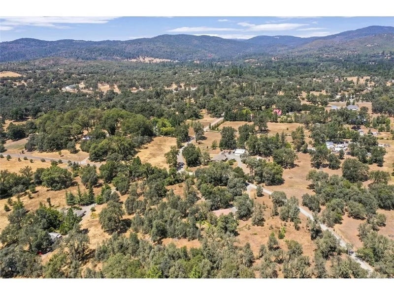 48 Rices Texas Hill