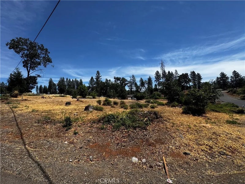 992 Maple Park