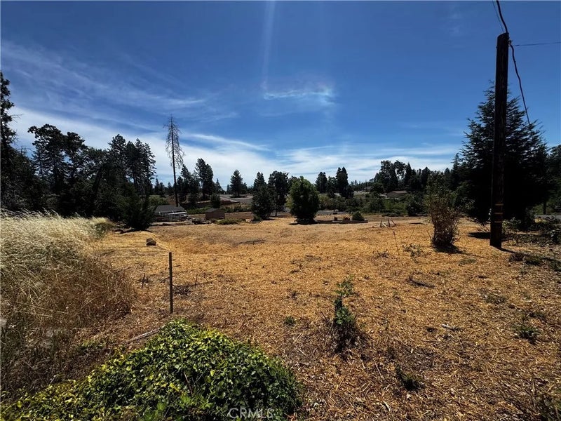992 Maple Park
