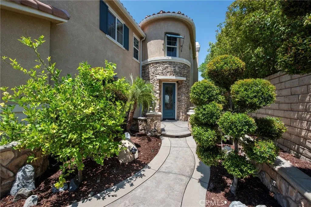 17413 Dove Willow