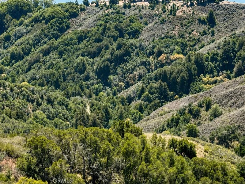 46190 Pfeiffer Ridge