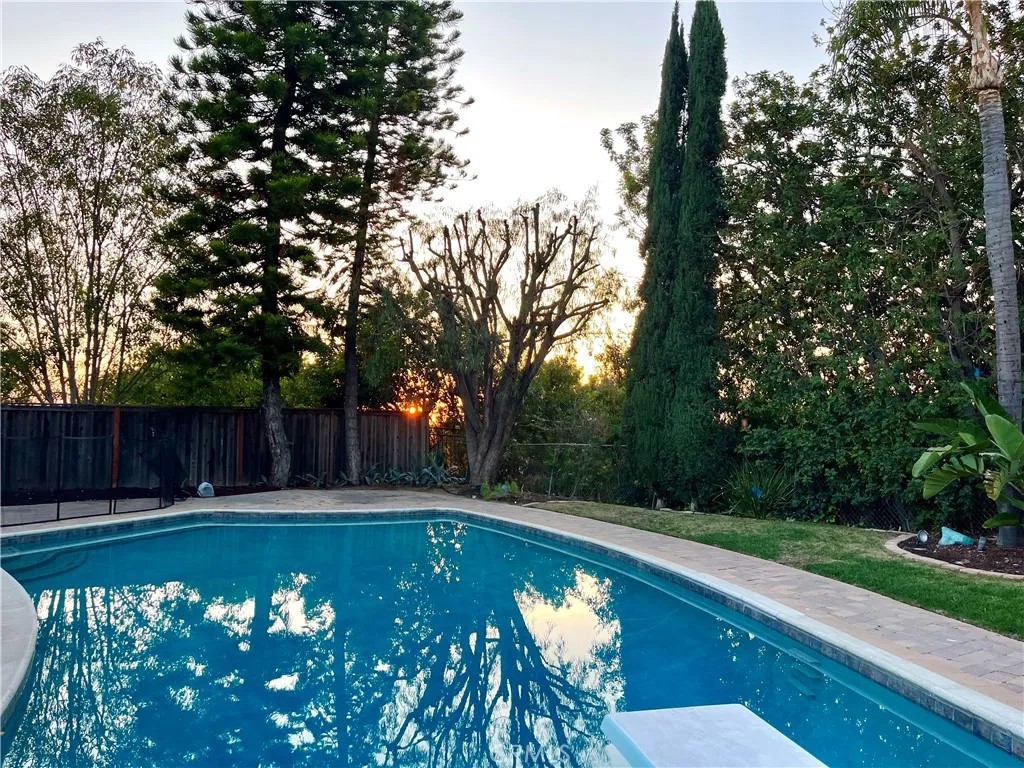 26635 Saddleback