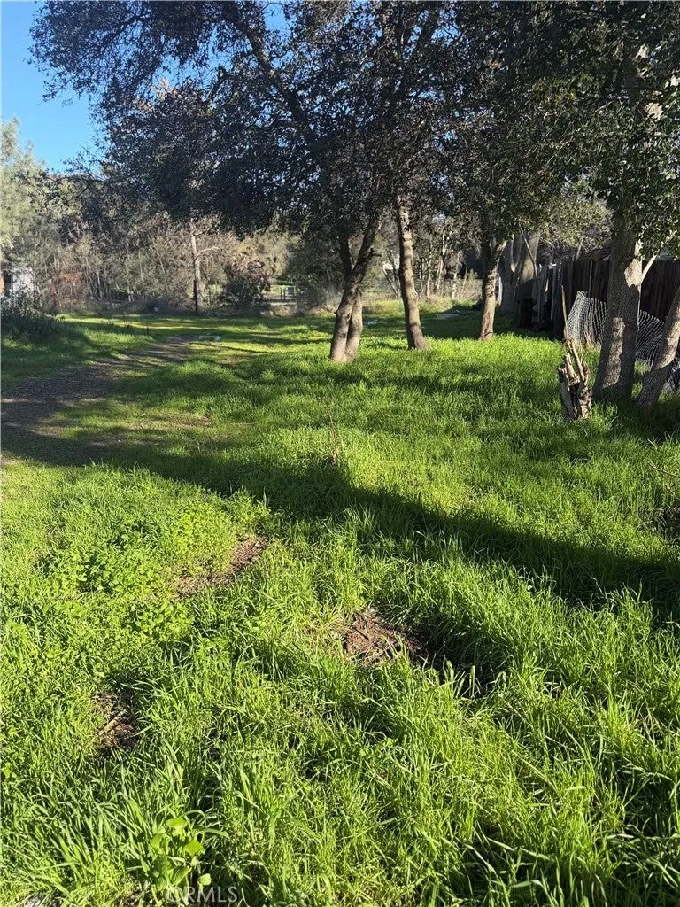 3626 Oleander