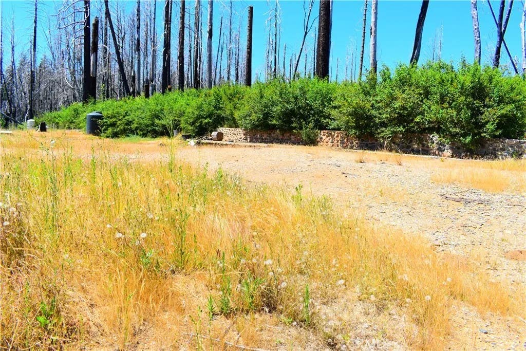 Photo of 461 Milsap Bar RD, Berry Creek, CA 95916 (MLS # PA26140704)