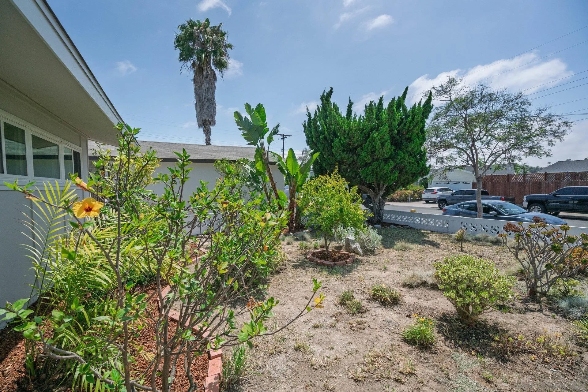 2025 Whinchat Street