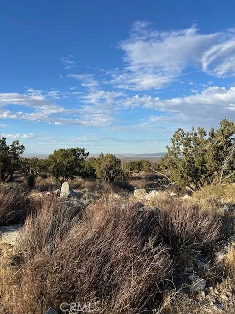 0 Yucca
