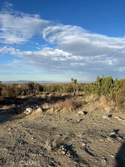 0 Yucca