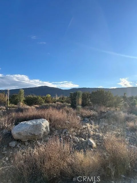0 Yucca