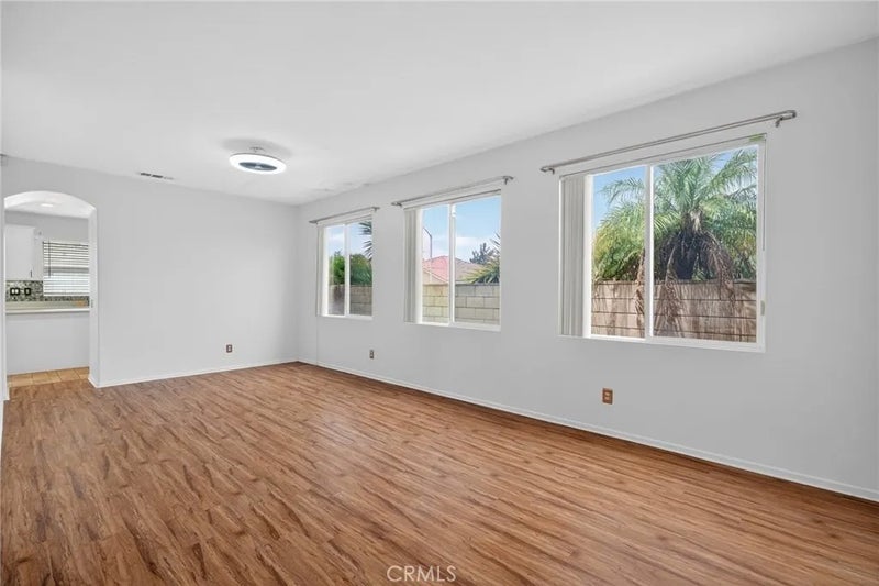 26103 Palmetto