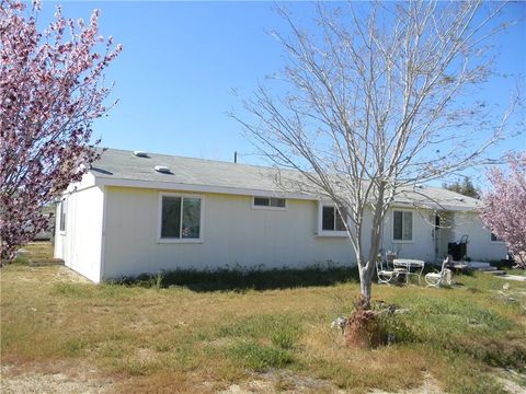 Photo of 16846 E Avenue T, Llano, CA 93544 (MLS # SR26054905)