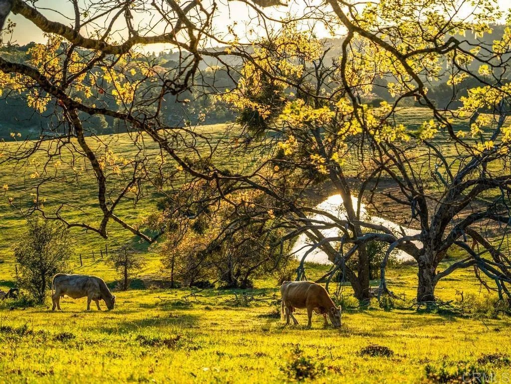 4430 Deer Lake Park Road