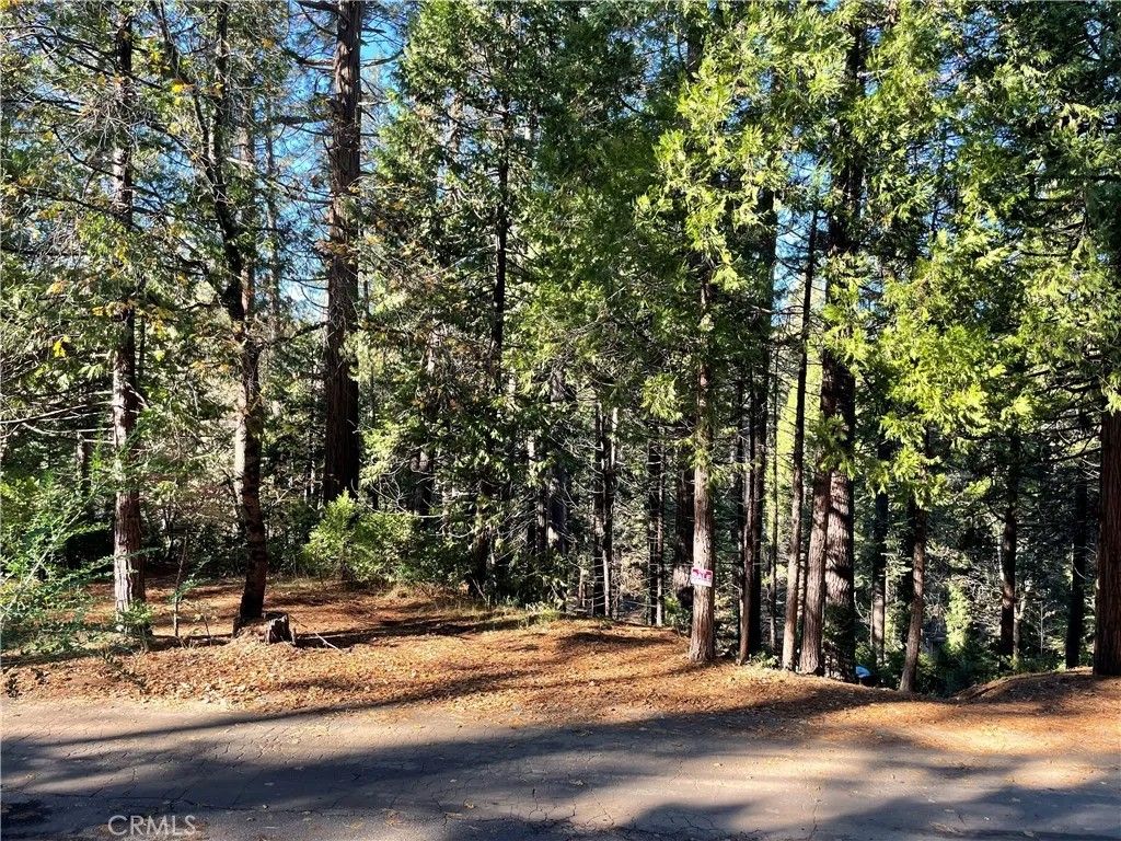 Photo of 22447 Ponderosa, Twain Harte, CA 95383 (MLS # MC25265582)