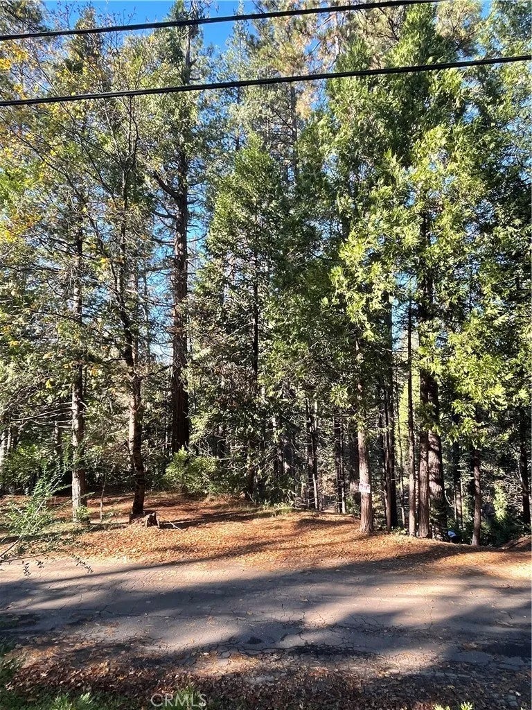 22447 Ponderosa