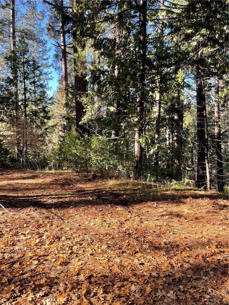 22447 Ponderosa