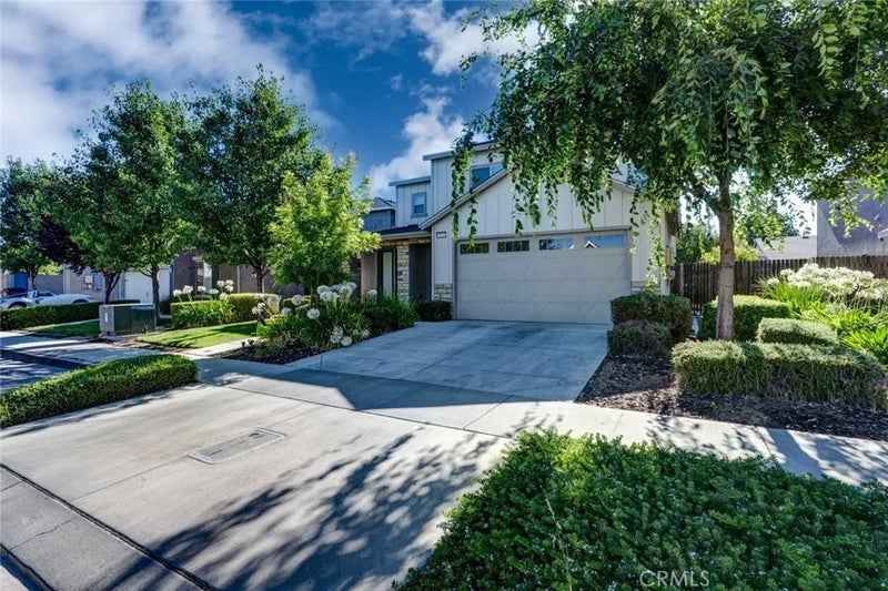 3774 Magellan