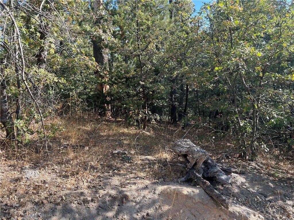 Photo of 0 Lone Pine Dr, Arrowbear, CA 92382 (MLS # OC26205416)