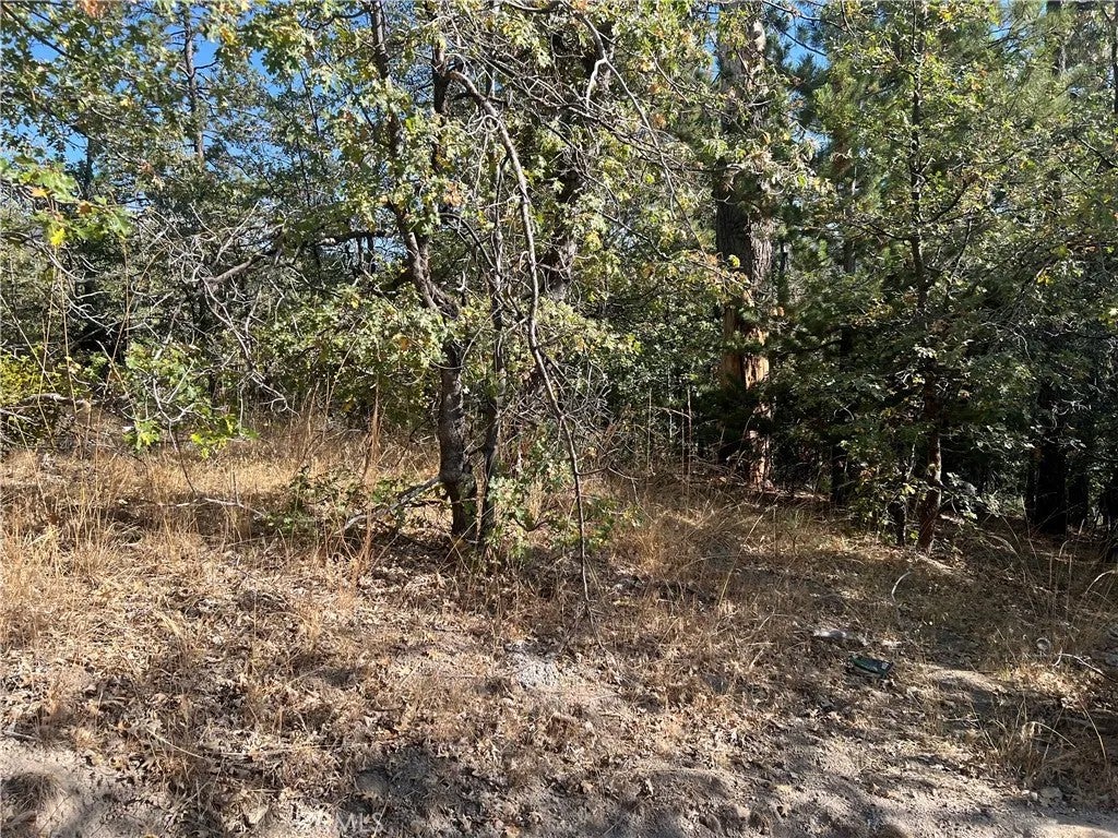 Photo of 0 Lone Pine Dr, Arrowbear, CA 92382 (MLS # OC26205416)