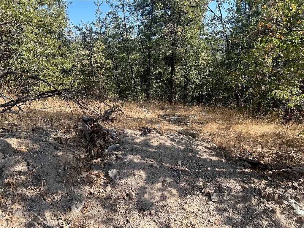 Photo of 0 Lone Pine Dr, Arrowbear, CA 92382 (MLS # OC26205416)