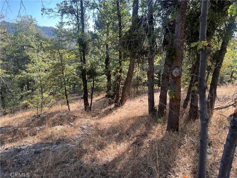 0 Lone Pine Dr.