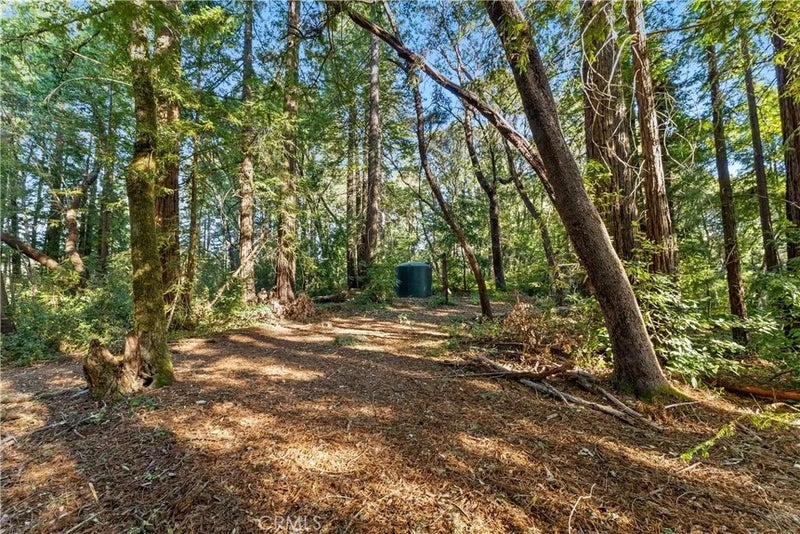 4419 Trout Gulch