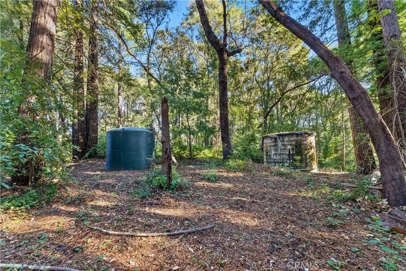 4419 Trout Gulch