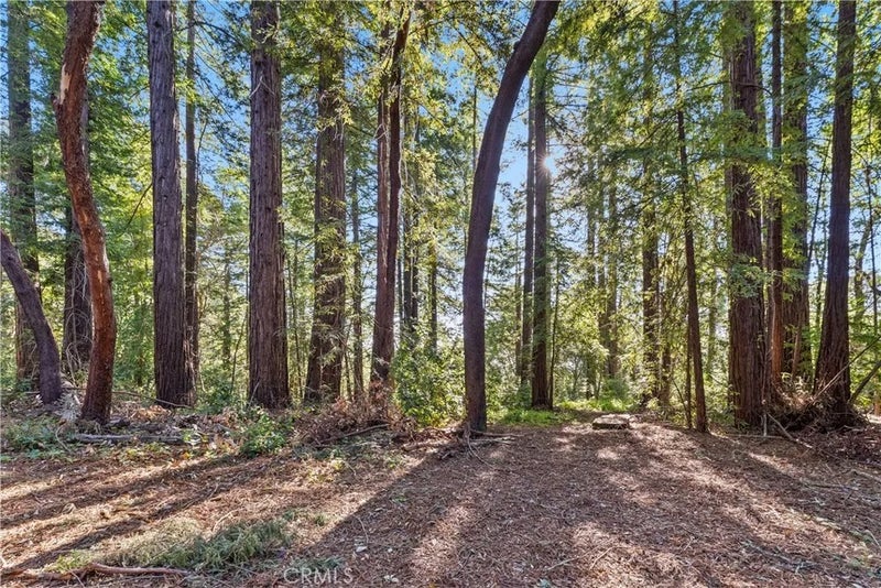 4419 Trout Gulch