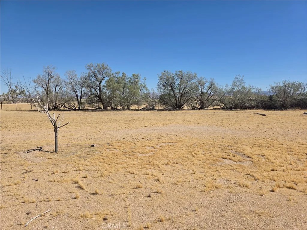 39070 Yucca