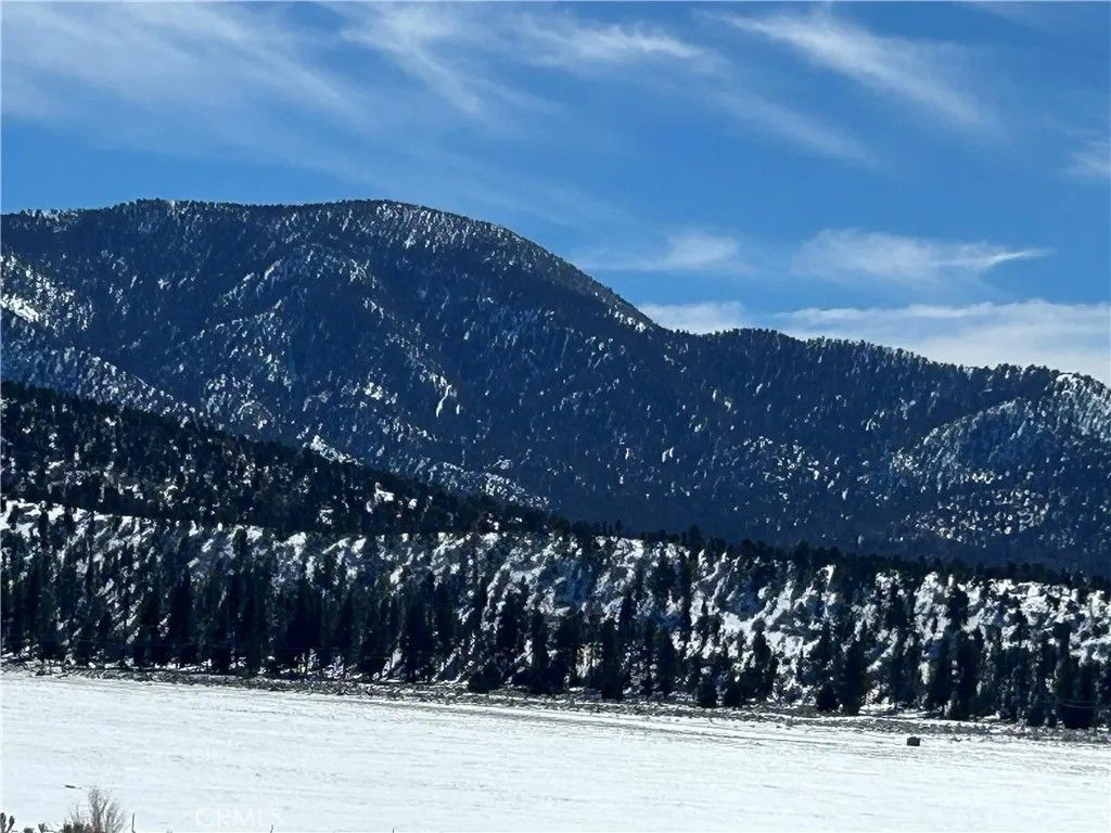 Photo of 45935 Parkway Dr, Big Bear Lake, CA 92314 (MLS # IV25278984)