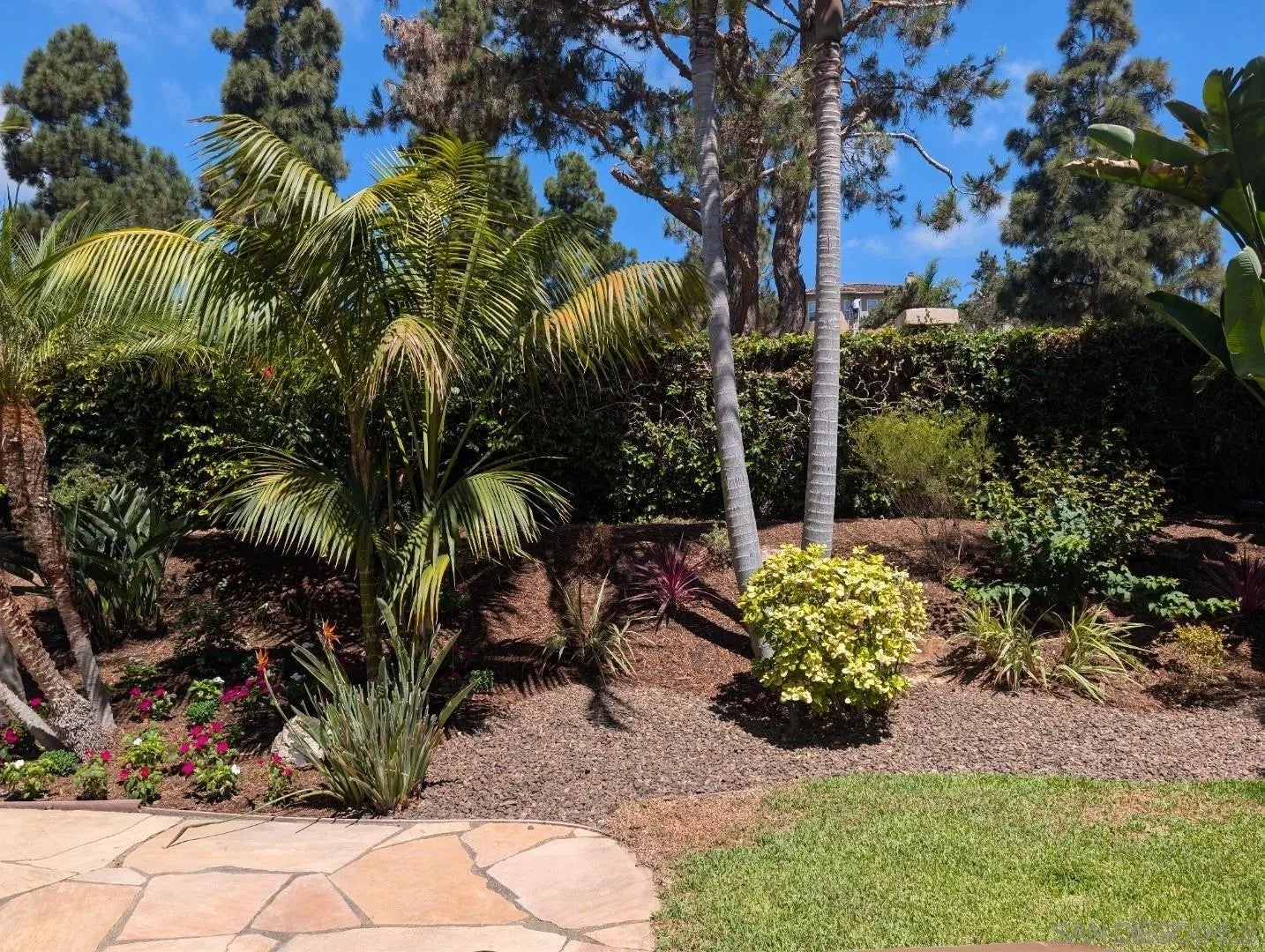 7049 Surfbird Circle