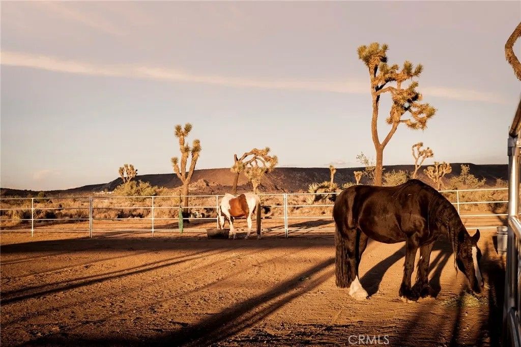 Photo of 2680 Vine Ave, Pioneertown, CA 92268 (MLS # JT26000323)