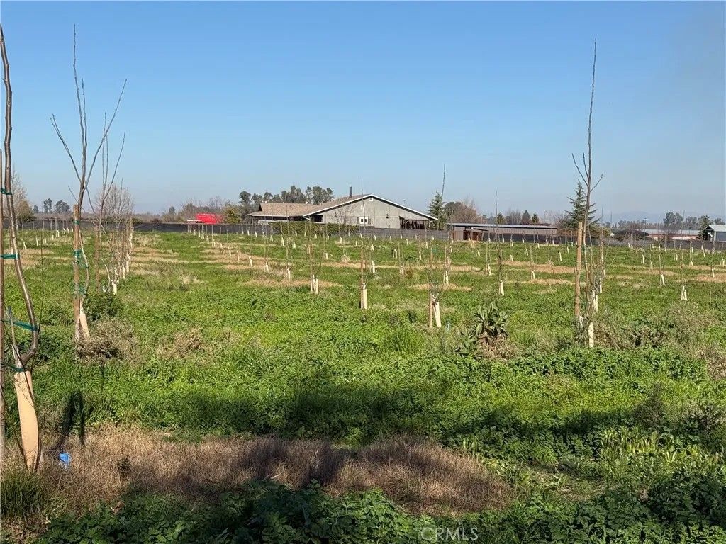 Photo of 3325 Hall Rd, Corning, CA 96021 (MLS # SN26013552)