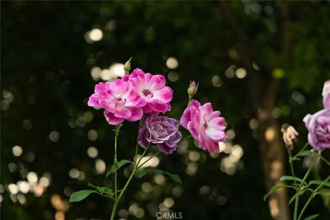 Tiny photo for 321 Wonderview Drive, Glendale, CA 91202 (MLS # GD25252294)