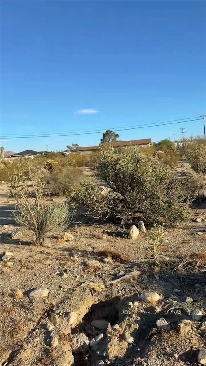 1 Baseline