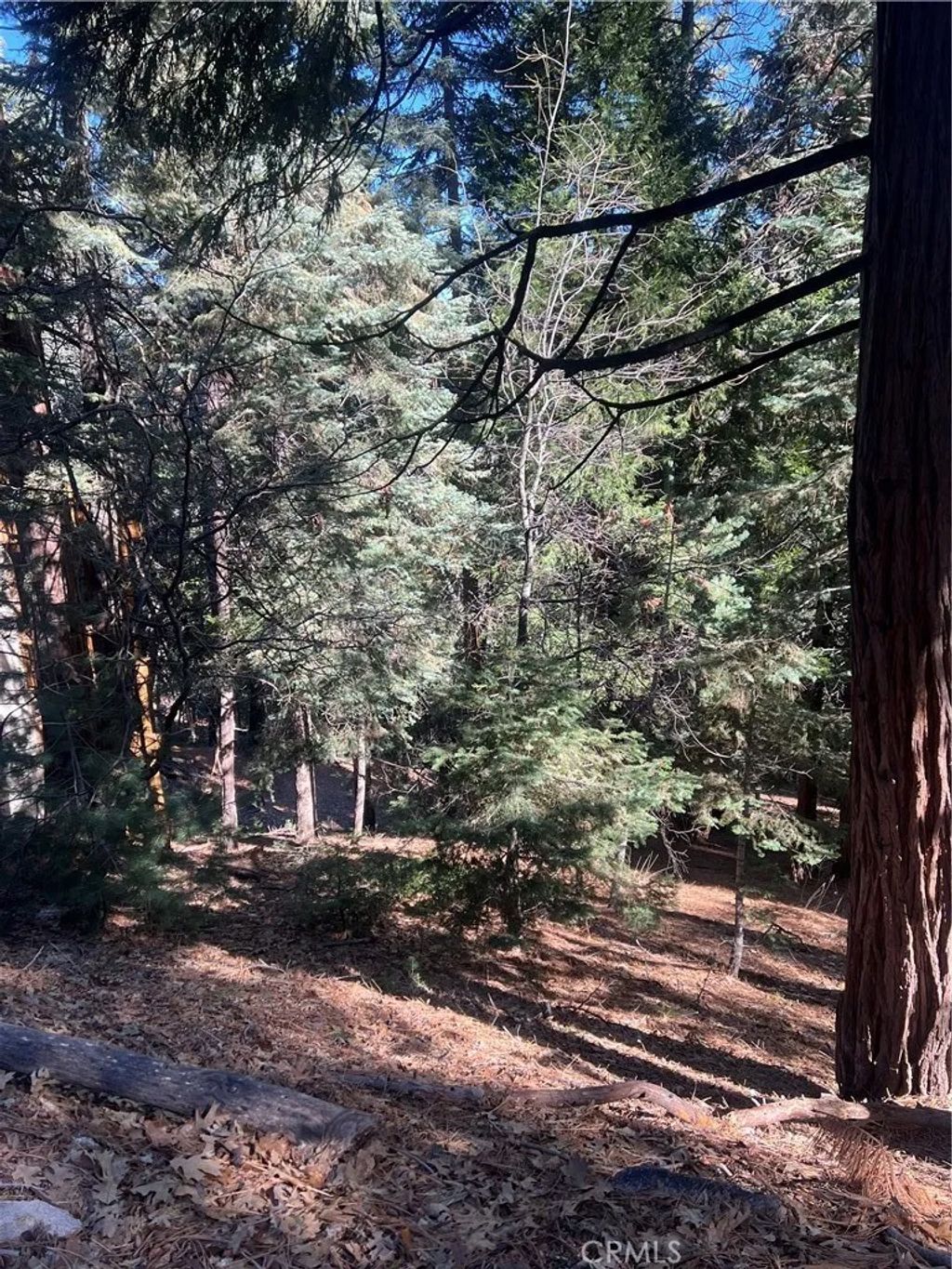 Photo of 0 Forest, Twin Peaks, CA 02391 (MLS # IG26084160)